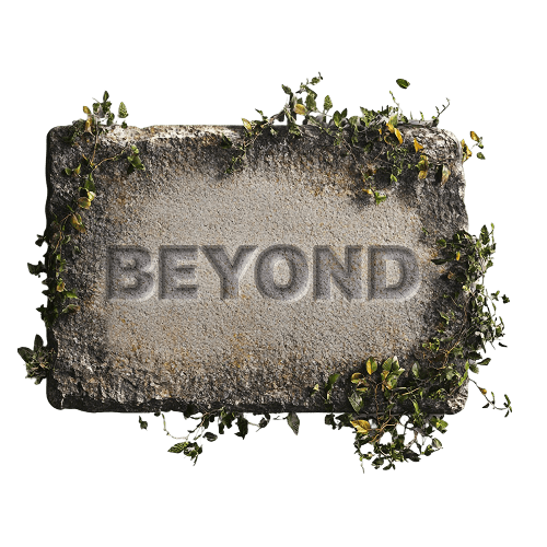 beyond