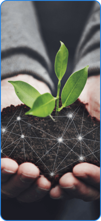 roadmap_grass