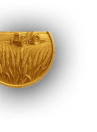small_coin
