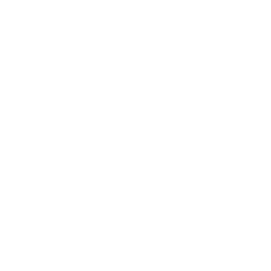 wealth_icon