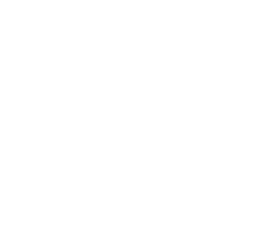 wealth_icon